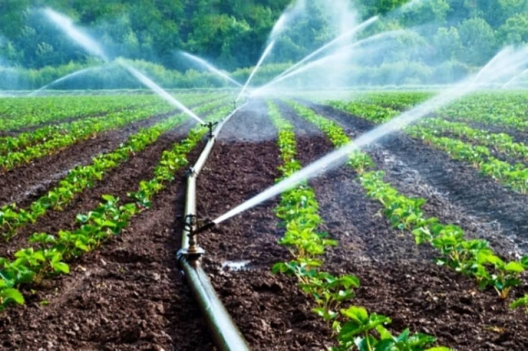 استاندارد آب کشاورزی