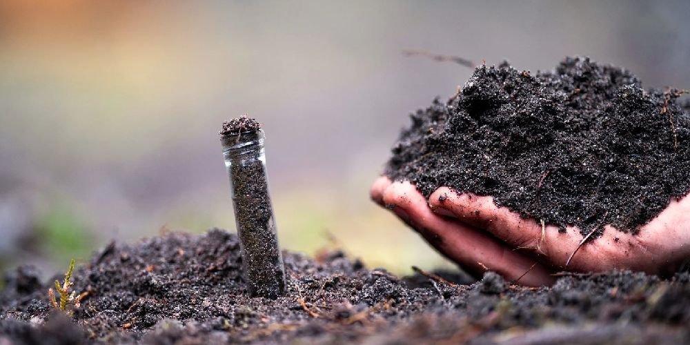 نقش آزمایشگاه ها در تضمین ایمنی و کیفیت مواد غذایی