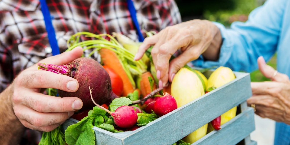 شناخت بقایای آفت کش‌ها در مواد غذایی