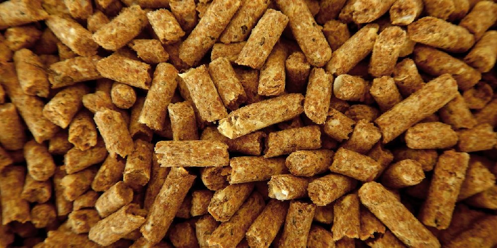 اندازه گیری فلزات سنگین در غذای حیوانات خانگی