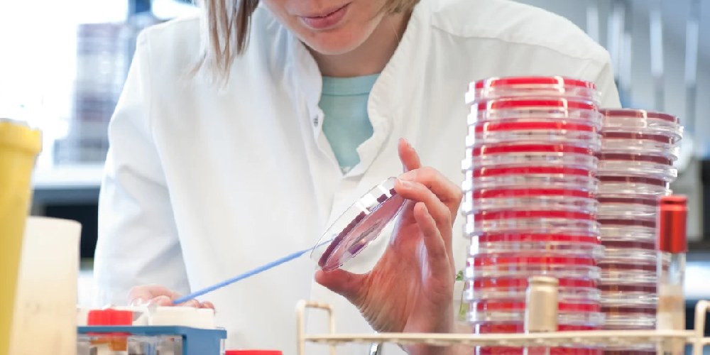 آزمایشگاه تخصصی آنالیز سموم و آلودگی‌های مواد غذایی